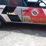 Após briga de casal, CANIL PM localiza arma escondida em caminhão no município de Rio Claro, SP