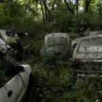 Militar acumula ‘frota’ de 350 carros desde a década de 1980 em chácara de Valinhos, SP
