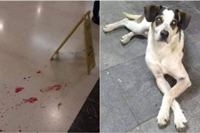 Imagens divulgadas por ativistas mostram marcas de sangue no chão da unidade. (Facebook/Reprodução)