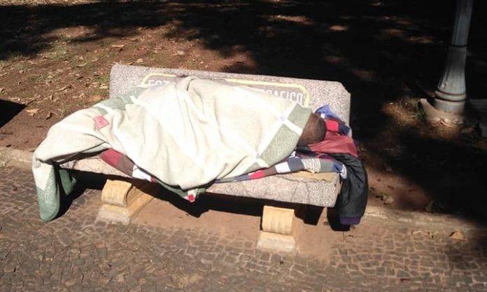 66352244_2150061801769670_245676222435033088_n