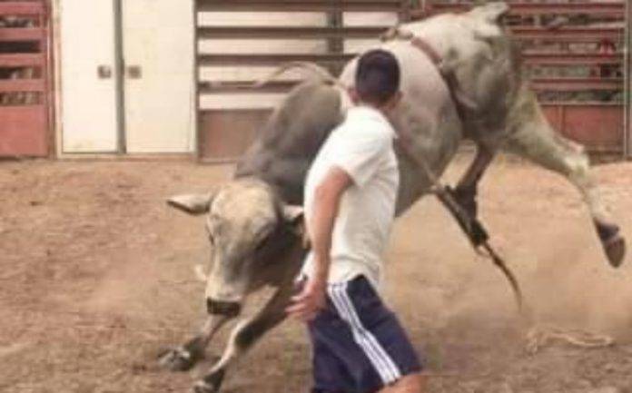 67567562_105719684106919_7094180263726415872_n