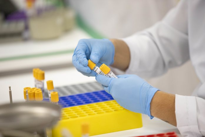 42898632534_26af9eb0c9_k