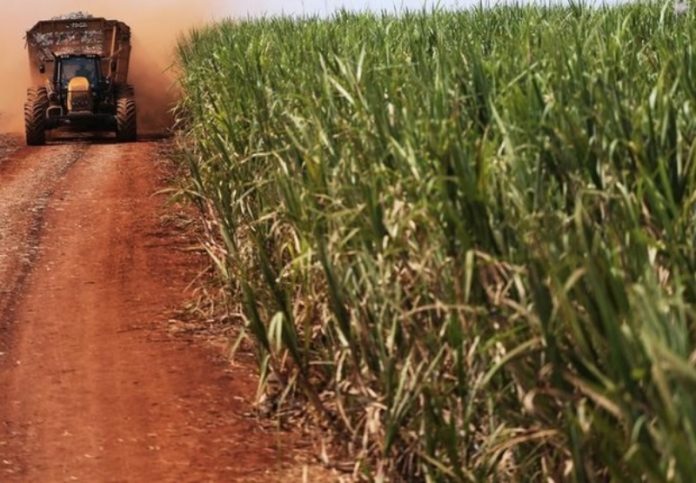 2017-09-19t160930z_1_lynxnped8i19a_rtroptp_3_commods-acucar-fixacao