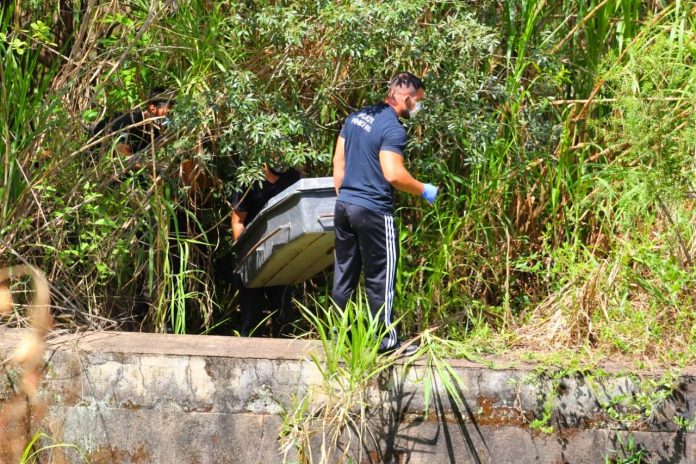 editor-5fb81a14526a9