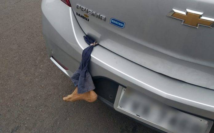 1ca37bcf-9f97-4c5f-b800-0b3dabd9ba7a