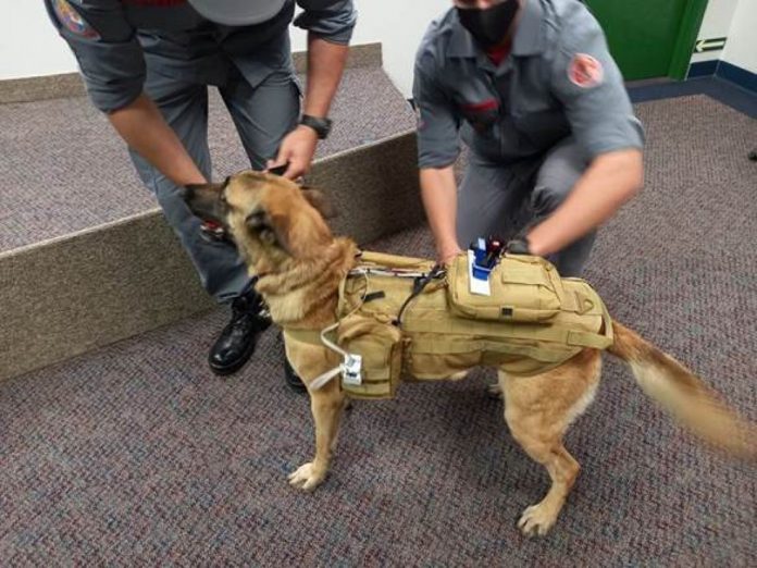 whatsapp-image-2021-01-19-at-16.05.54