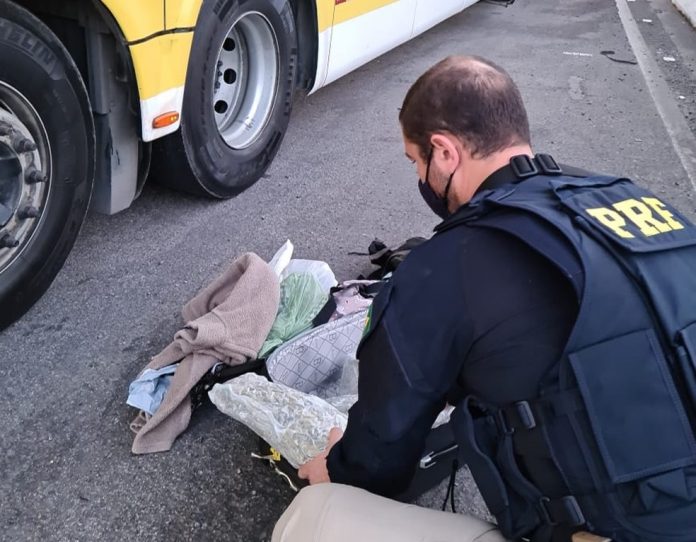 Homem é preso com porções de skunk em ônibus de turismo