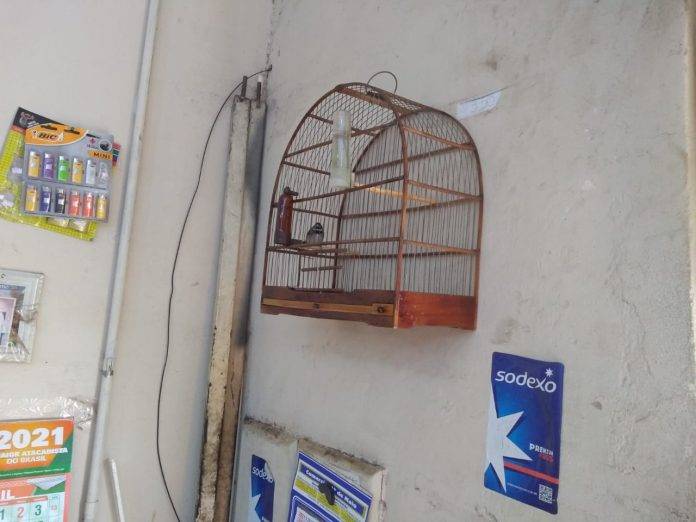 39e20864-30f9-4ac2-be9e-68bf6e4f4356