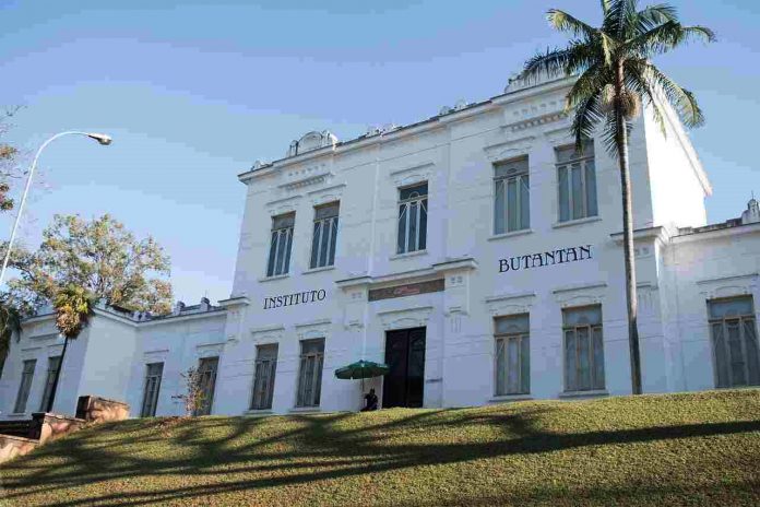 Butantan-Foto-Pixabay_Easy-Resize.com_