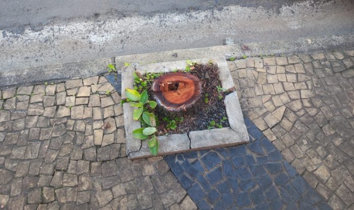 63d9e743-4ee2-46b2-8e7e-02bc18432d5a