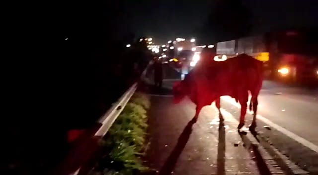 625dfa67-9aad-41a1-9a1c-ca5373a08d9f