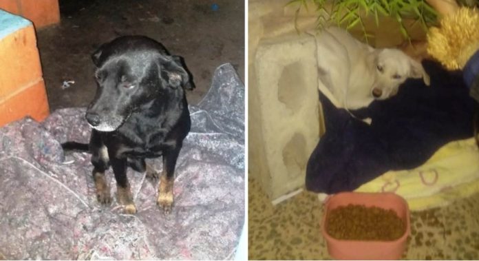 281087400_367713042050998_6548253115284820400_n-side