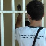 Lei que regulamenta o piso salarial dos agentes comunitários de saúde e de combate a endemias é aprovada em Araras, SP