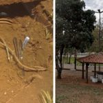 Homem é flagrado pela GCM furtando fios de energia de poste no Lago Municipal em Araras, SP