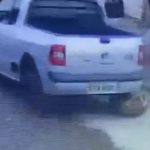 Câmera flagra motorista passando com carro por cima de cachorro no interior de SP