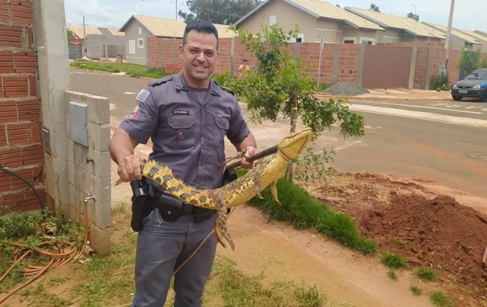 cdc400eb-9742-498e-8aae-76e006e7feb0